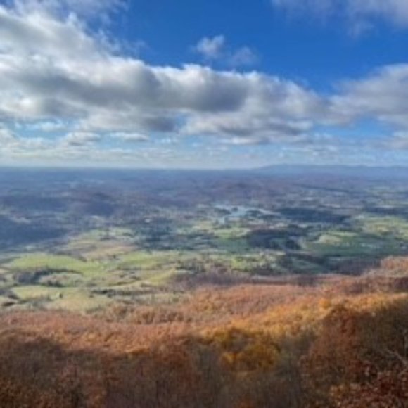 Meet  your posher, sydmo8299 - Picture 7 of 8